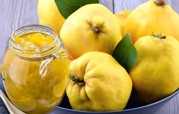 مزيج السفرجل والليمون
