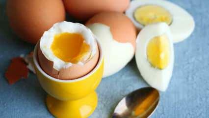 ما هي آثار تناول بيضتين في السحور كل يوم على الجسم؟