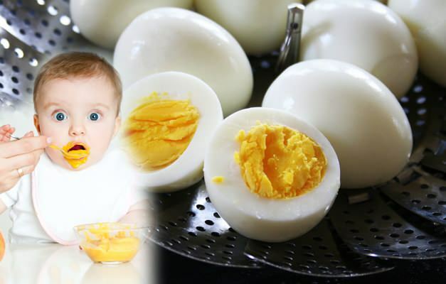كيفية تغذية صفار البيض للأطفال؟ متى يتم إعطاء صفار البيض للأطفال؟