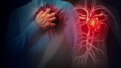 ما هي النوبة القلبية؟ ما هي أعراض النوبة القلبية؟ هل هناك علاج لنوبة قلبية؟