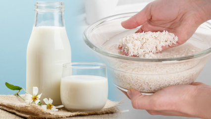 كيفية تحضير حليب الأرز الذي يحرق الدهون؟ طريقة التخسيس بحليب الأرز