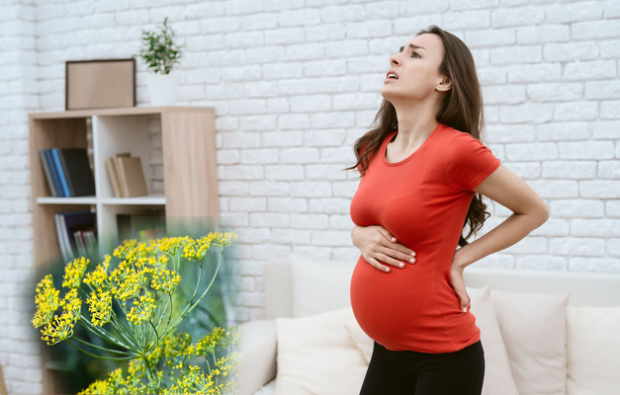 علاج طبيعي لآلام أسفل الظهر في الحمل