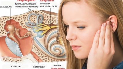 ما الذي يسبب تحول كريستال الأذن؟ علامات اللعب بلورة الأذن