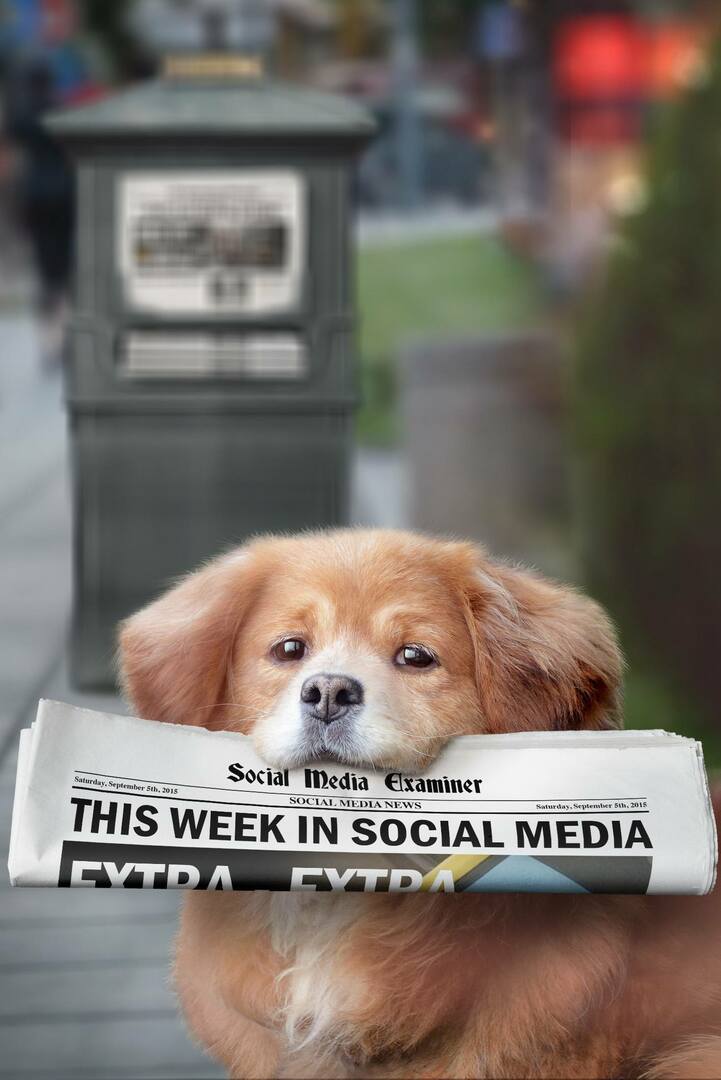 ممتحن وسائل التواصل الاجتماعي الأخبار الأسبوعية 5 سبتمبر 2015