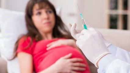 تحذير من الخبراء! تنتظر النساء الحوامل لقاح فيروس كورونا