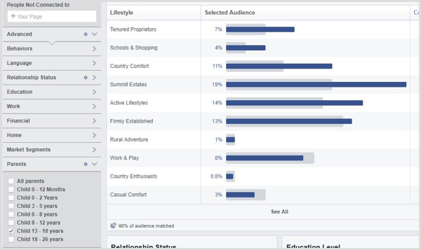 عرض Facebook Audience Insights لجمهور مخصص.