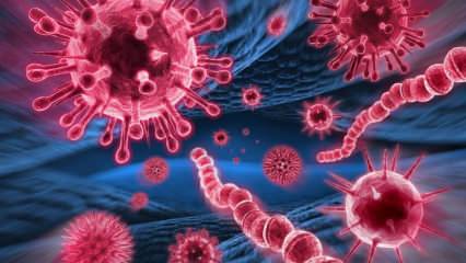 ما هو فيروس ميرس؟ ما هي أعراض فيروس ميرس؟ كيف ينتقل فيروس ميرس؟