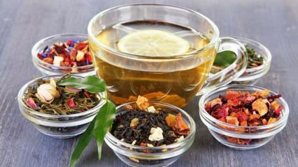 هل يفقد شاي الياسمين الوزن؟