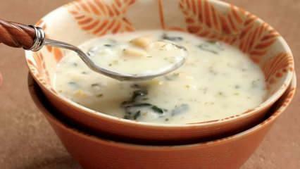 ما هو حساء دوفجا وكيفية تحضير حساء دوفجا؟ وصفة حساء دوفجا في المنزل