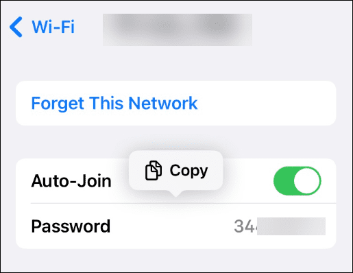 اعرض كلمات مرور شبكة Wi-Fi المحفوظة على iPhone