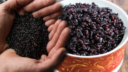 ما هي فوائد الأرز الأسود؟ ما هو الاسم الآخر للأرز الأسود؟ كيف يتم استهلاك الأرز الأسود؟