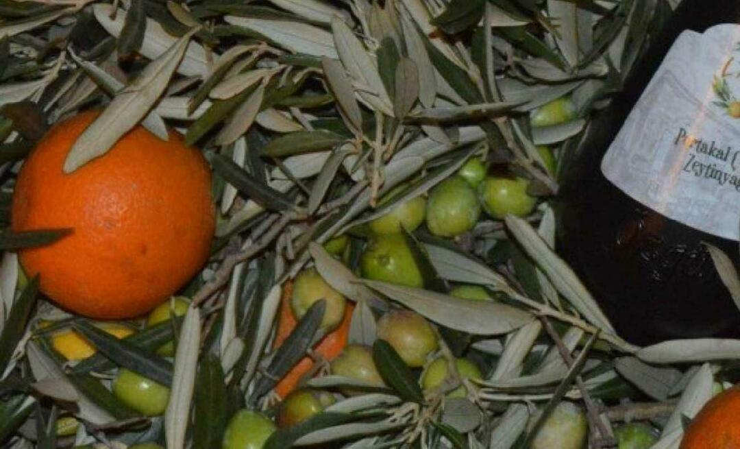 قامت سيدات الأعمال من باليكسير بإنتاج زيت الزيتون البرتقالي!