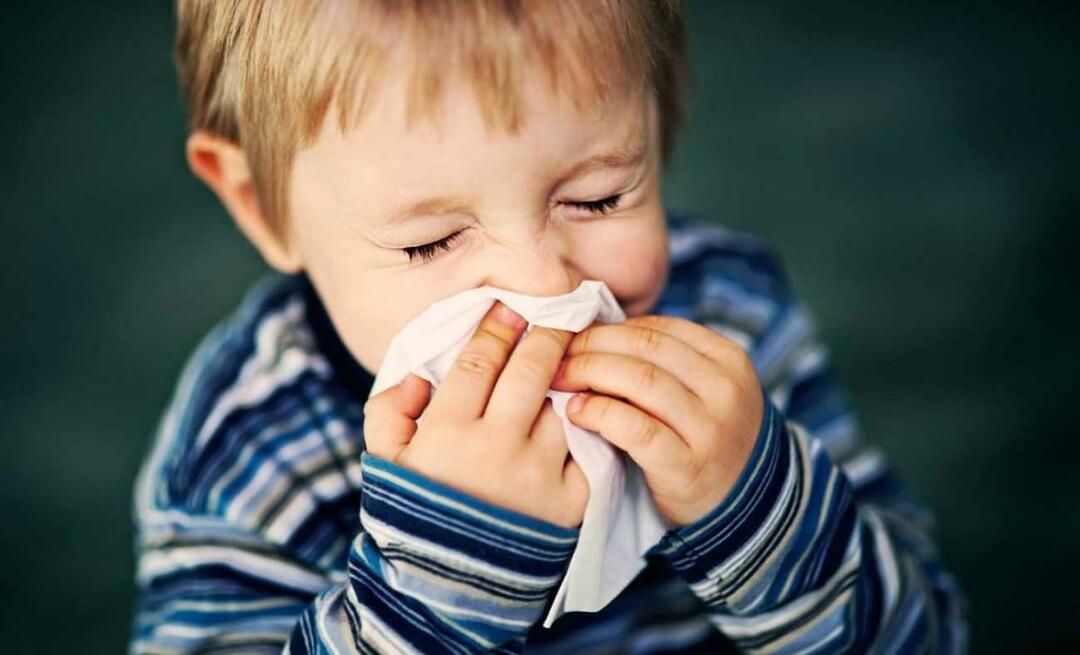 ما هي الحساسية الموسمية عند الأطفال؟ هل يمتزج بالبرد؟ ما هو جيد للحساسية الموسمية؟