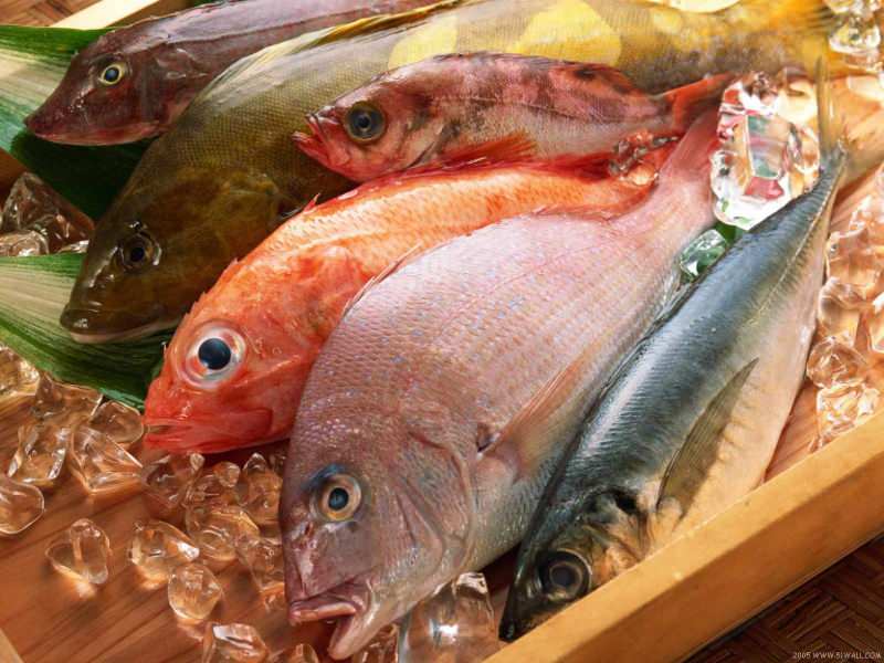 نصائح لاختيار الأسماك الطازجة من Masterchef jury Mehmet Chef