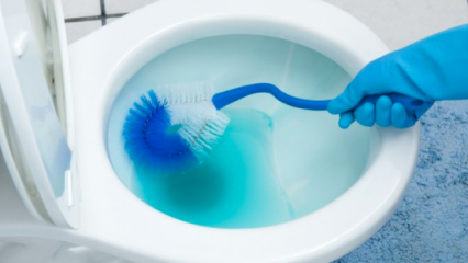 كيف تنظف فرشاة المرحاض؟ 