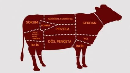 ما هي اجزاء لحم البقر؟ أي اللحوم تقطع من أي منطقة؟