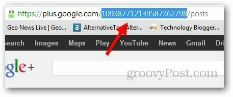 عنوان URL قصير لـ Google Plus 1