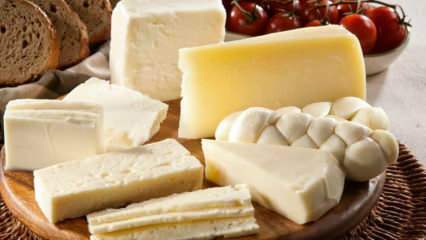 كيف يتم تخزين الجبن؟ كيفية حفظ الجبن من الثلاجة