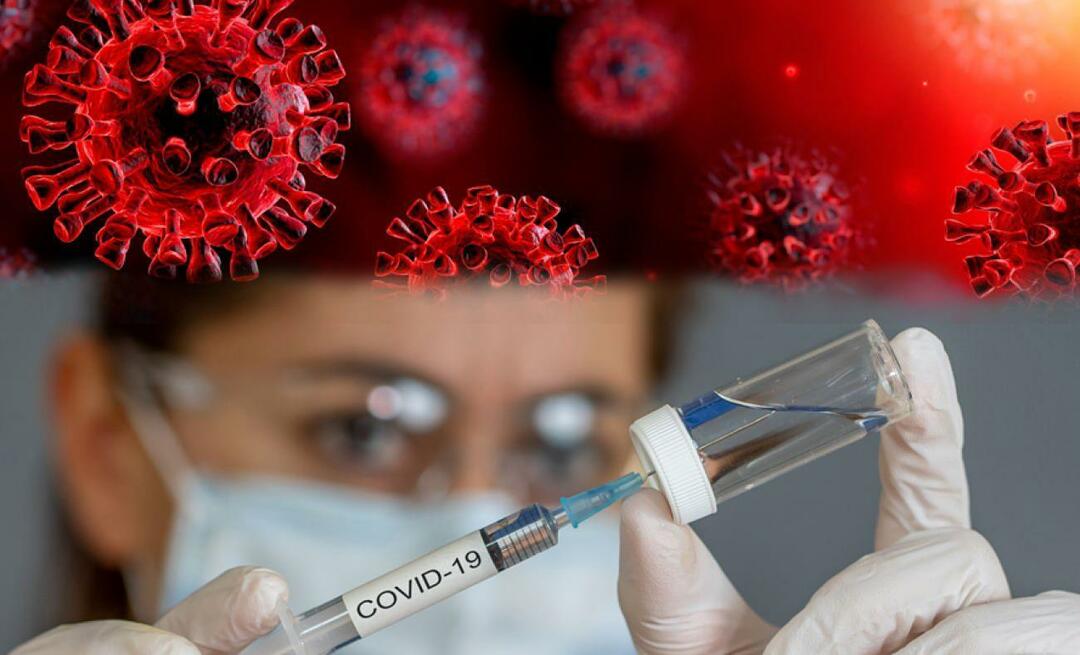 هل من حق الناس عدم التطعيم ضد الأمراض الوبائية؟ أعلنت رئاسة الشؤون الدينية
