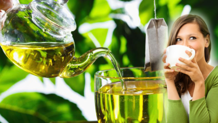 هل يمكن للنساء الحوامل شرب الشاي الأخضر؟ فوائد الشاي الأخضر وطريقة التخسيس