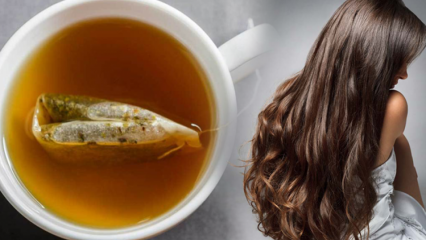 ما هي فوائد الشاي الأخضر للشعر؟ وصفة الشاي الاخضر لماسك البشرة