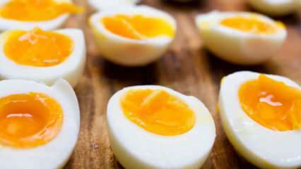 كيف يجب تخزين البيضة المسلوقة؟ نصائح لغلي البيض المثالي