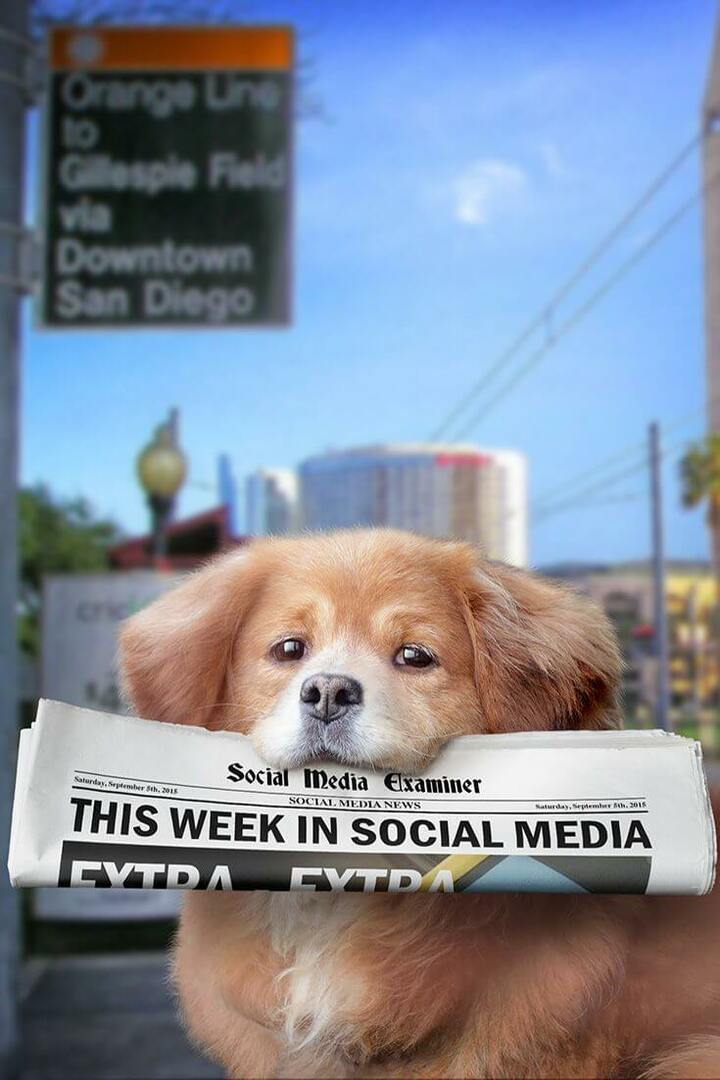 يتم بث Periscope محليًا في Twitter: هذا الأسبوع في وسائل التواصل الاجتماعي: ممتحن وسائل التواصل الاجتماعي