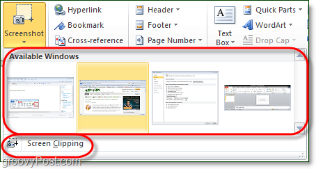 تحتوي أداة لقطة الشاشة على خيارين في Office 2010