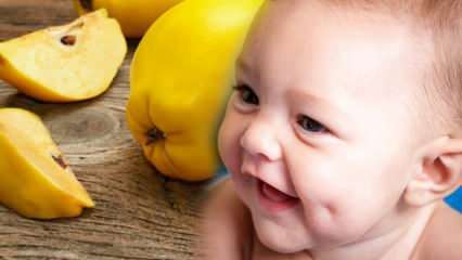 هل السفرجل الدمل؟ هل أكل السفرجل أثناء الحمل يجعل الطفل جميلاً؟