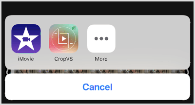 اضغط على أيقونة CropVS لفتح أدوات التطبيق.