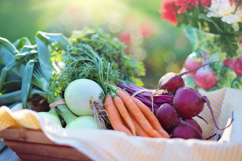 ما هو النظام الغذائي النباتي؟ كيفية عمل نظام غذائي نباتي