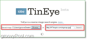 لقطة شاشة TinEye - البحث عن صورتك للنسخ المكررة والإصدارات الأكبر