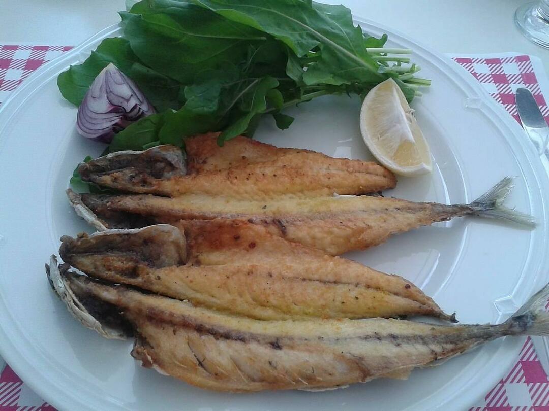 كيف لطهي سمك الماكريل؟ تقنيات طهي أسماك الماكريل على المقلاة وعلى الشواية