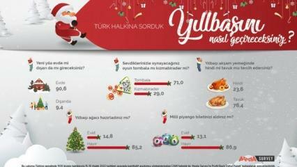 استطلاع أريدا يناقش تفضيلات العام الجديد للشعب التركي! لحم الدجاج هو لحم الديك الرومي في العام الجديد ...