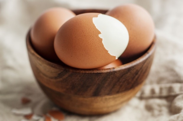 تحليل البيض العضوي