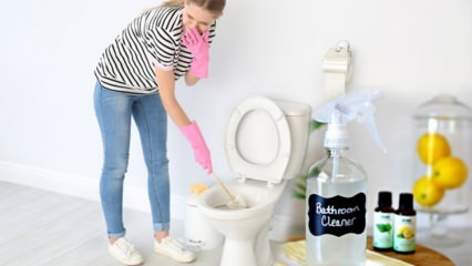 كيف تصنع رذاذ المرحاض في المنزل؟ نصائح لعمل منظف تواليت طبيعي