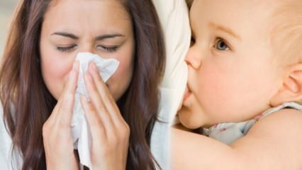 هل يمكن لأمهات الإنفلونزا إرضاع طفلهن؟ قواعد الرضاعة من أمهات الإنفلونزا