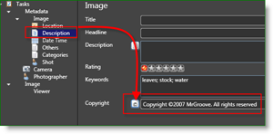 Microsoft Pro Photo Tools المصور MetaData Auto حقوق النشر:: groovyPost.com