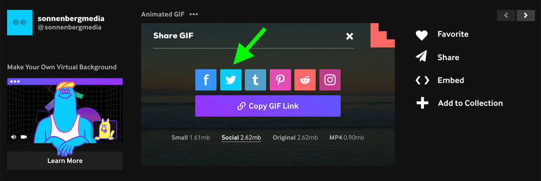كيفية إنشاء واستخدام صور GIF في التسويق الخاص بك على تويتر: ممتحن وسائل التواصل الاجتماعي