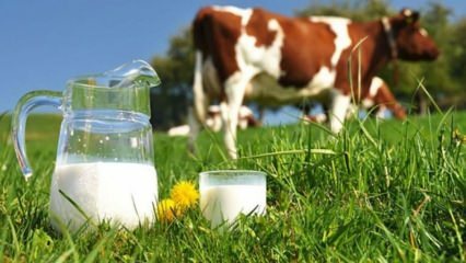 ما هي حساسية الحليب؟ متى تمر حساسية الحليب عند الرضع؟ حساسية حليب البقر ...