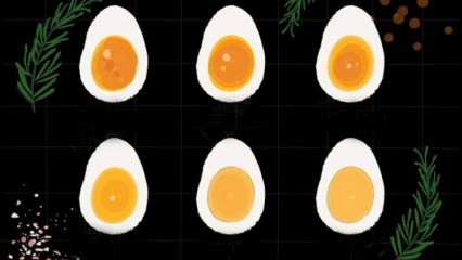 كيف يتم سلق البيضة؟ أوقات سلق البيض! كم دقيقة تغلي البيضة المسلوقة؟