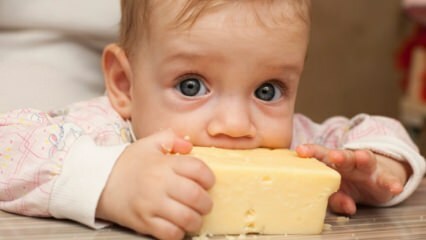 اختيار الجبن للأطفال