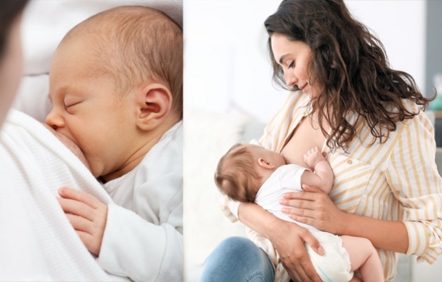 كم يمكن أن يمتص المولود الجديد؟ وقت الرضاعة الطبيعية حديثي الولادة