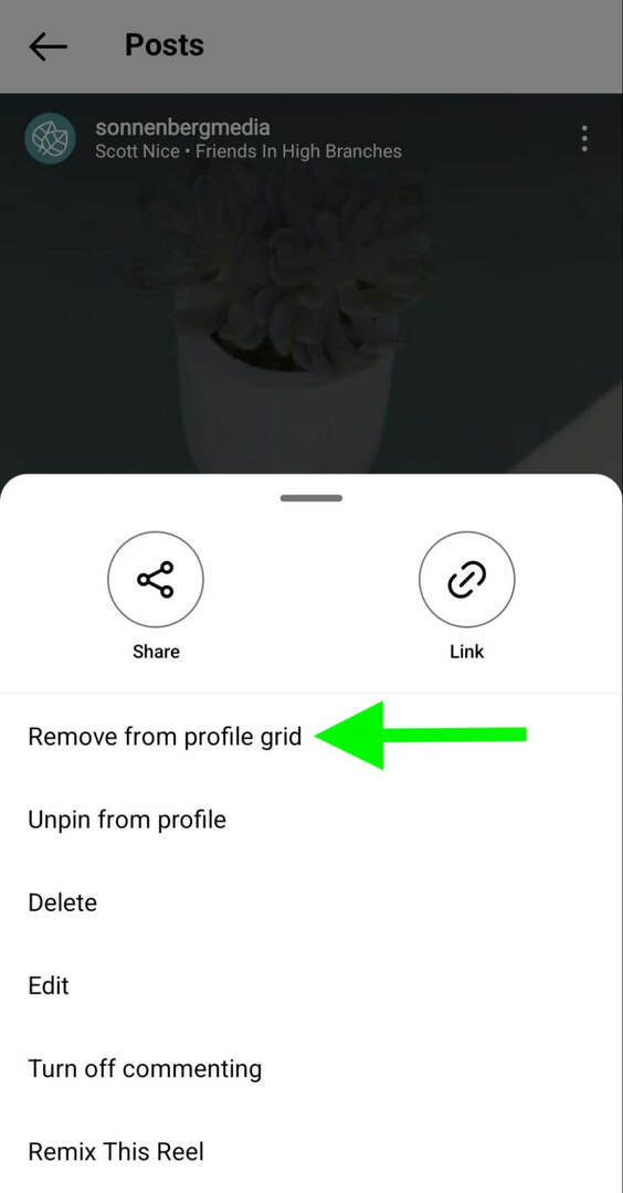 كيفية-instagram-unpin-reels-profile-remove-grid-sonnenbergmedia-step-4