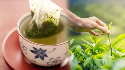 هل يهز الشاي الأخضر يضعف؟ ما الفرق بين أكياس الشاي والشاي المخمر؟ إذا كنت تشرب الشاي الأخضر في وقت النوم ...