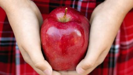 كيف يتم تقييم التفاح المتعفن؟ 