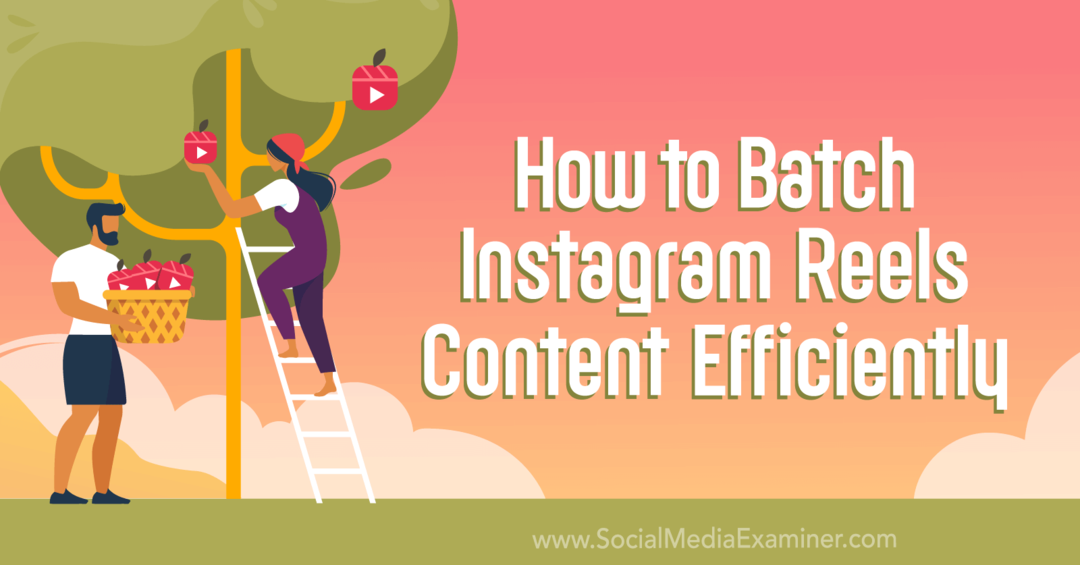 كيفية دفعات Instagram Reels المحتوى بكفاءة: ممتحن وسائل التواصل الاجتماعي