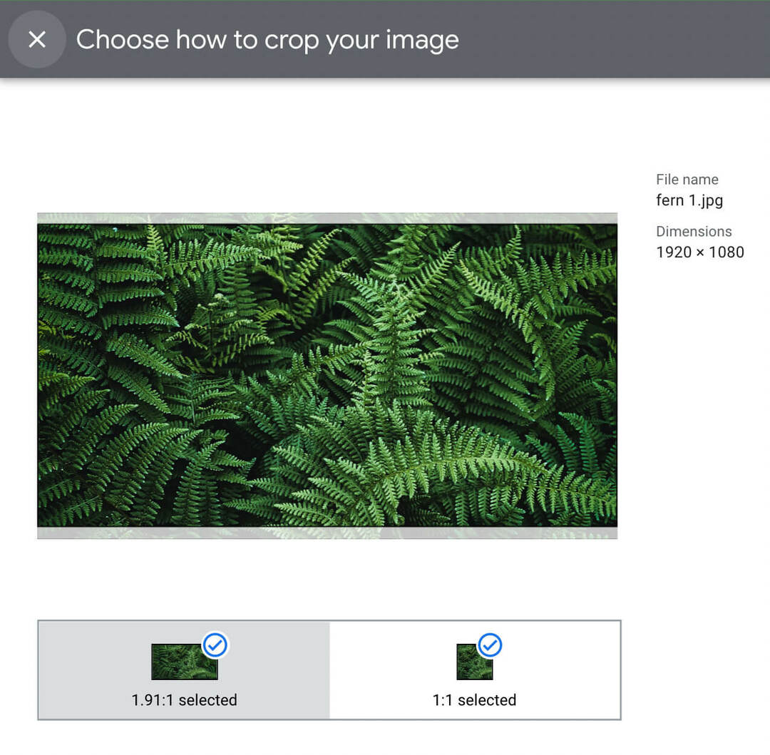 google-ads-asset-library-how-to-use-creatives-add-asset-display-crop-image-step-15