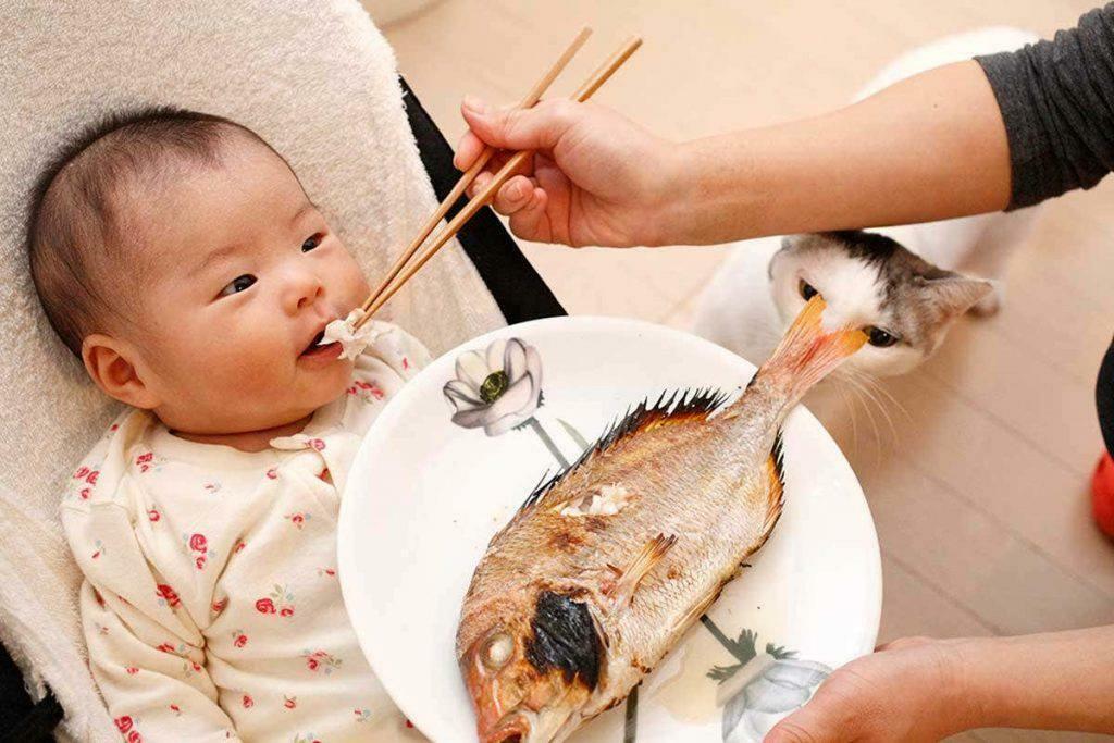 تغذية الأسماك للطفل