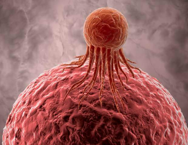 تؤثر الخلايا السرطانية سلبًا على الخلايا السليمة الأخرى